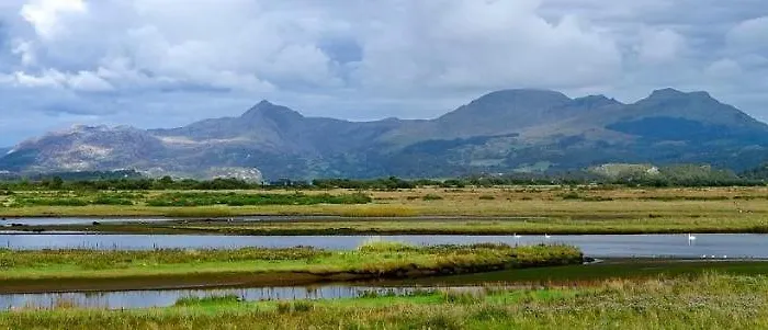 Bryn Goleu, Mersey Street, Borth-Y-Gest